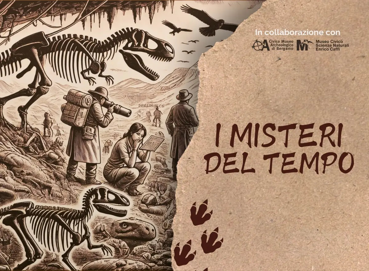 Thumbnail City Escape Bergamo Musei Civici